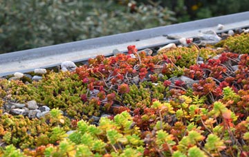the cost of Kingseathill green roof installation