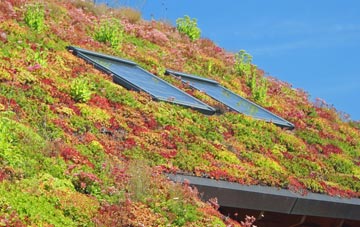 Kingseathill living roof systems