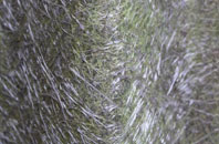 Kingseathill fibreglass roof work